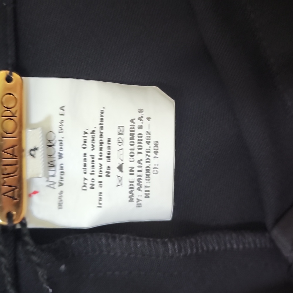 Amelia Toro Wool Pants - Picture 7 of 9